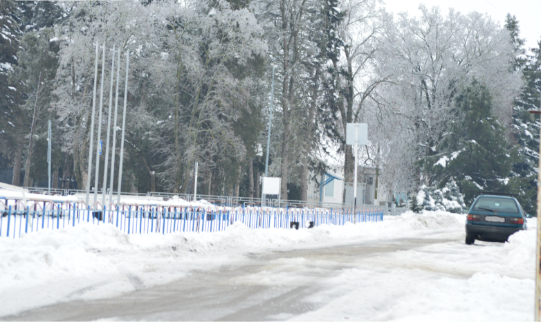 Фото автора. 25.01.2026. Станица. После ледяного дождя.