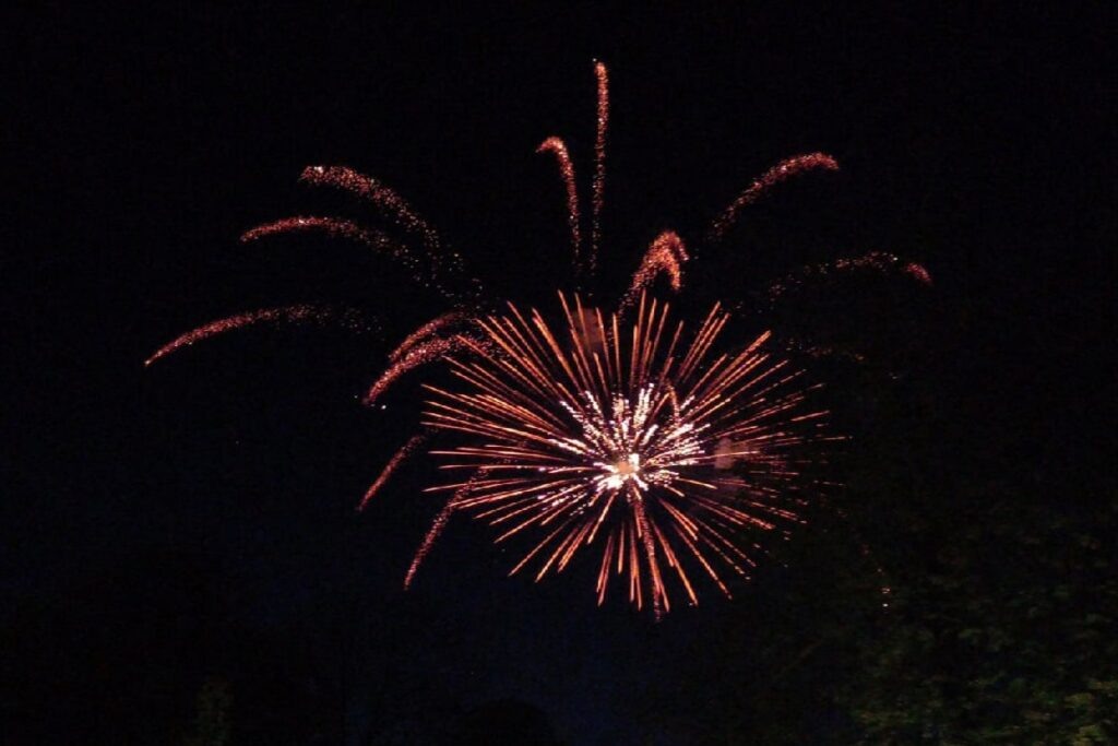    Фото: Ольга Спирина