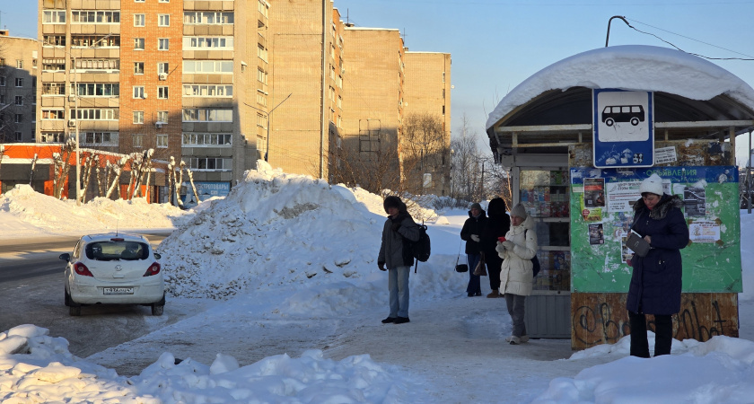    Фото newtambov.ru