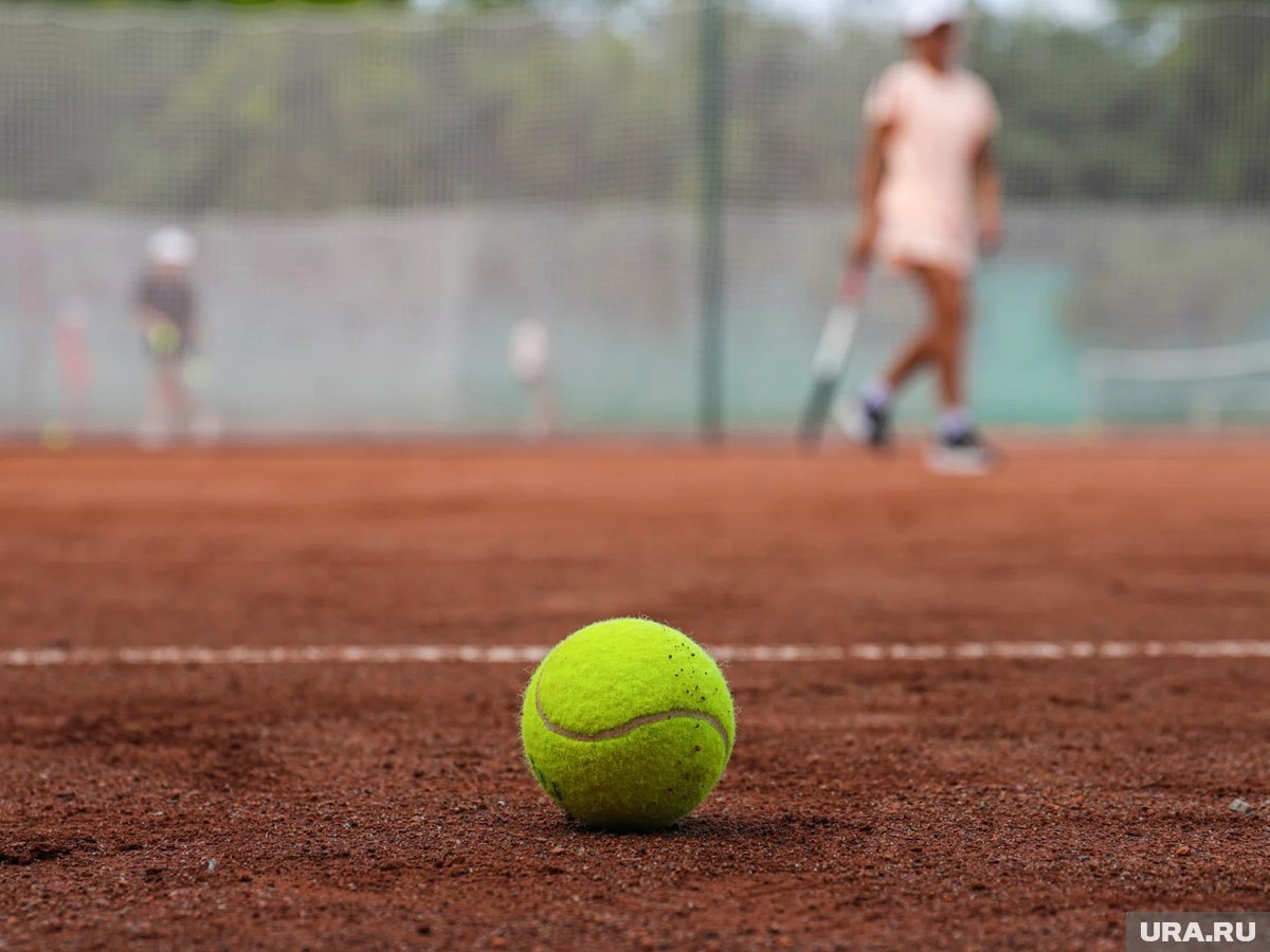    Свитолина заявила об угрозах расправы перед матчем с Кузнецовой в 2016 году