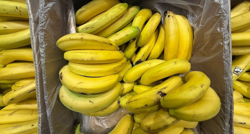    Pro Город (архив)