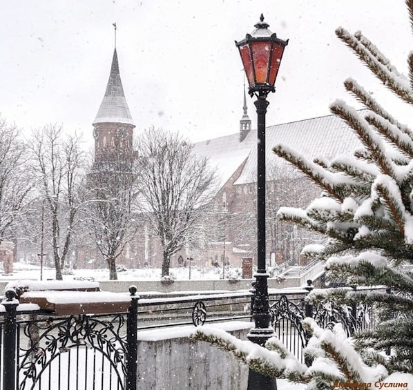 Калининград. Кафедральный собор на острове Канта. Фото: Людмила Суслина