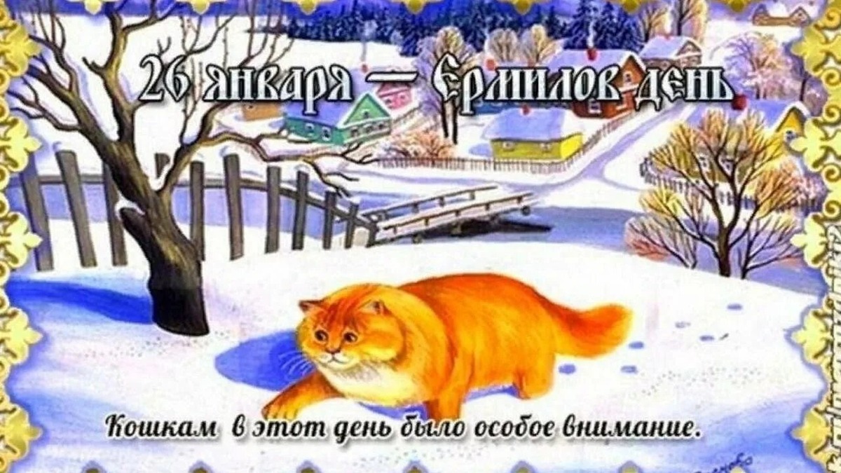 Фото из сетей интернета