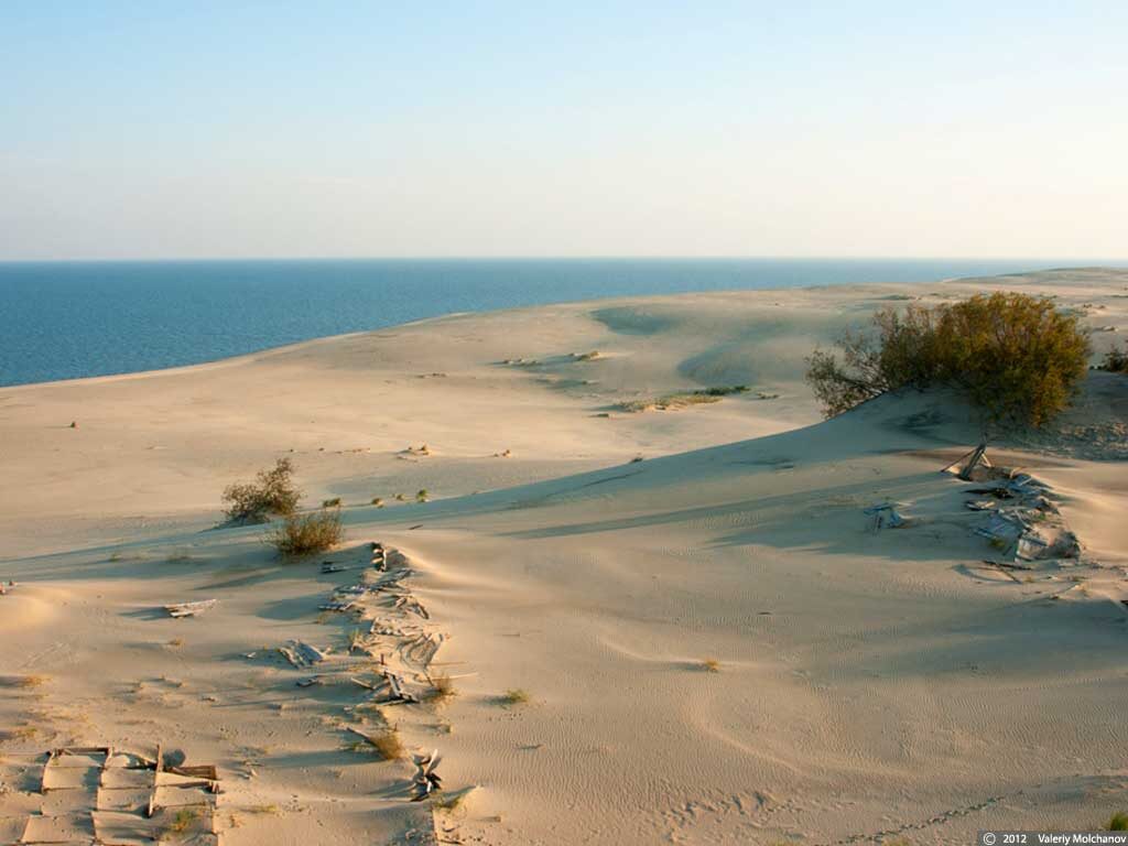 Дюны Куршской косы. Фото: Валерий Молчанов/Национальный парк "Куршская коса"