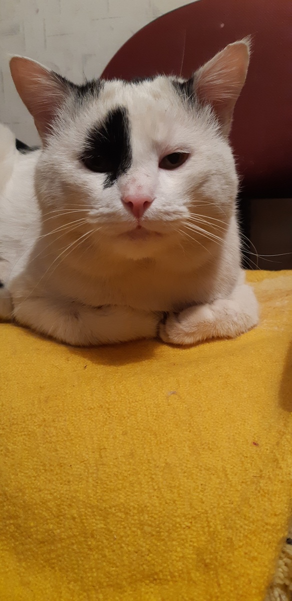 Я гребу небольшими частями, без наклонов, далеко и высоко не кидаю. Без лопаты притом. Могу провести мастер-класс гребли, за рыбов.