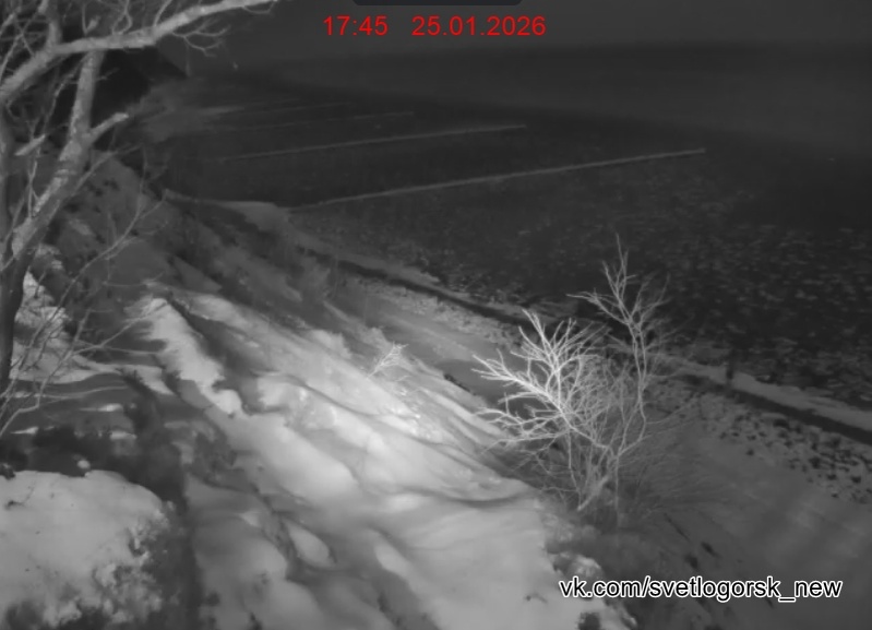 Светлогорск, пейзаж с замерзающим морем 25.01.2026