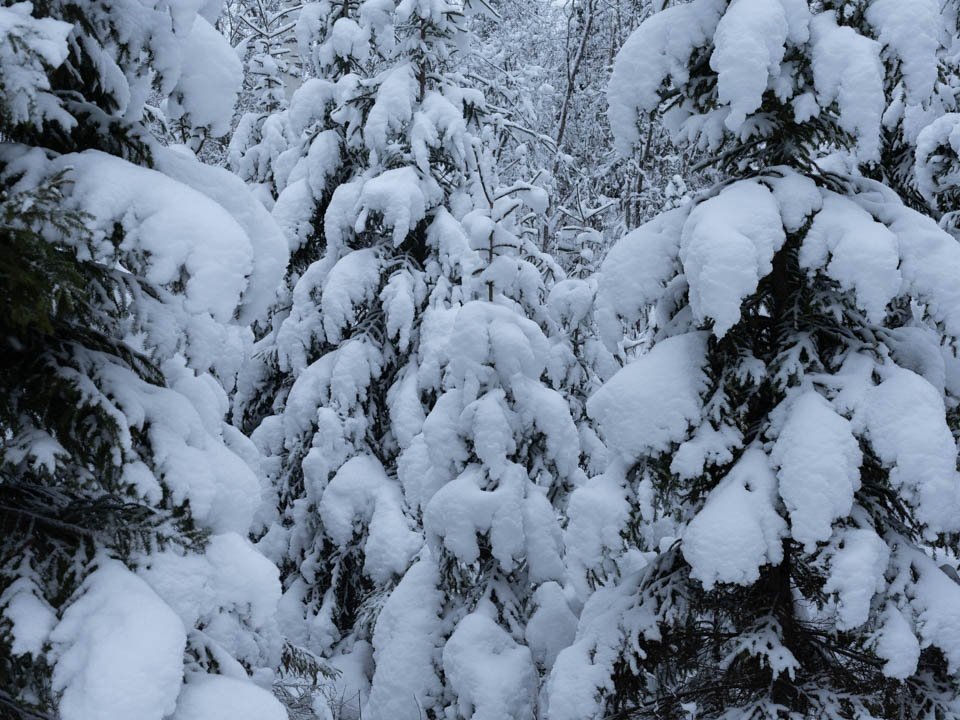    Фото: REGIONS/Роман Малышенко