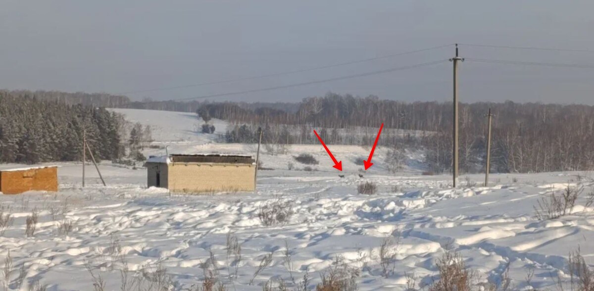 здания на фото - это то, что даёт нам воду в село. 