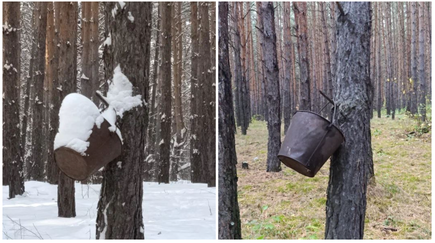 Про похождения по тем местам, где зарыт клад