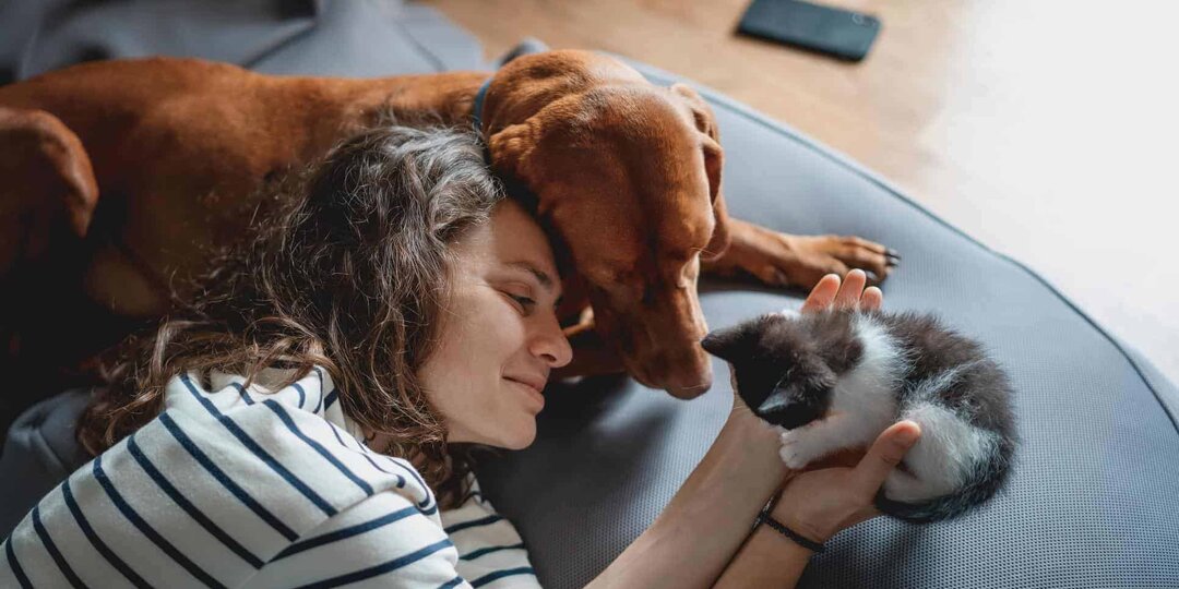 Почему собака выбирает «своего» человека и можно ли попасть в этот список