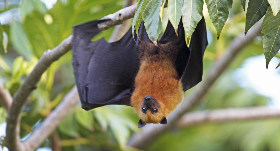    M. Woike/blickwinkel / www.globallookpress.com