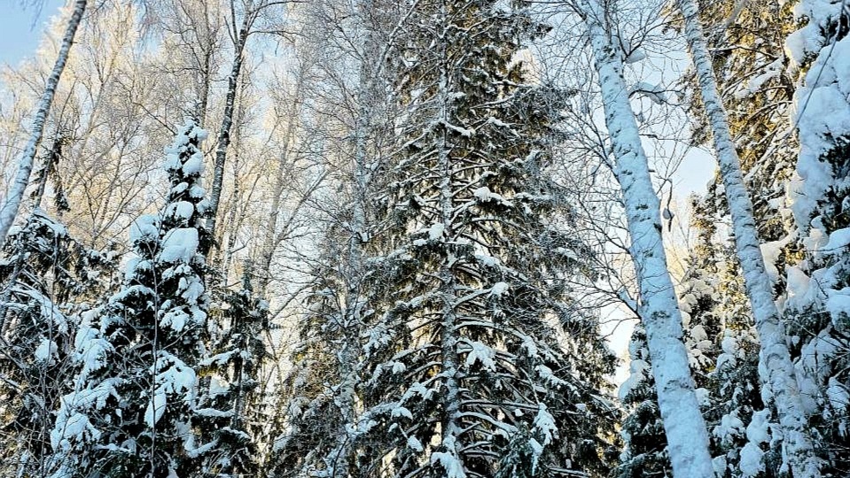 На даче все в порядке, я волновалась зря