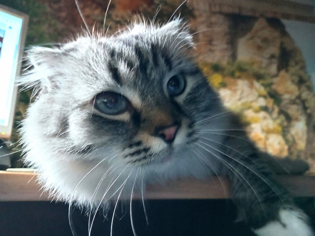 Фото автора