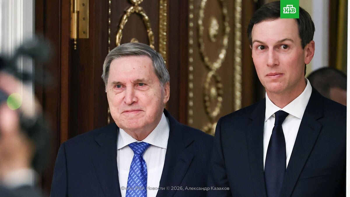    «Предельно откровенные»: Ушаков рассказал о переговорах Путина и Уиткоффа