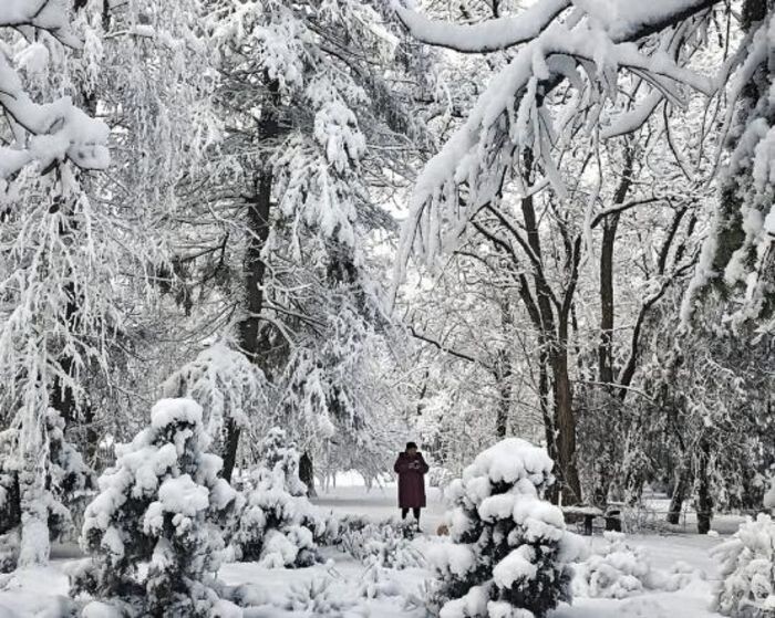 Иллюстрация: © «Панорама»