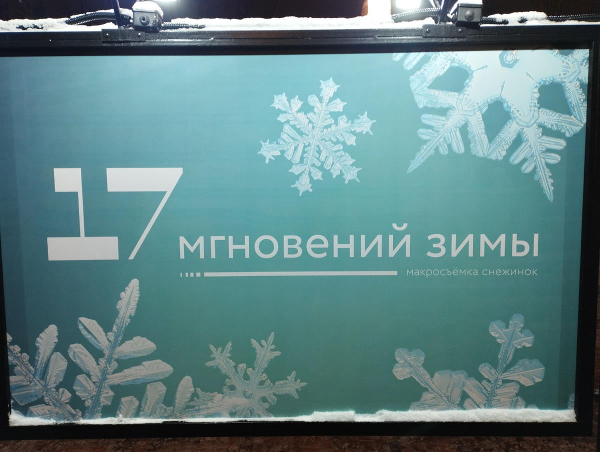 Фотовыставка "17 мгновений зимы" (ФОТО АВТОРА)