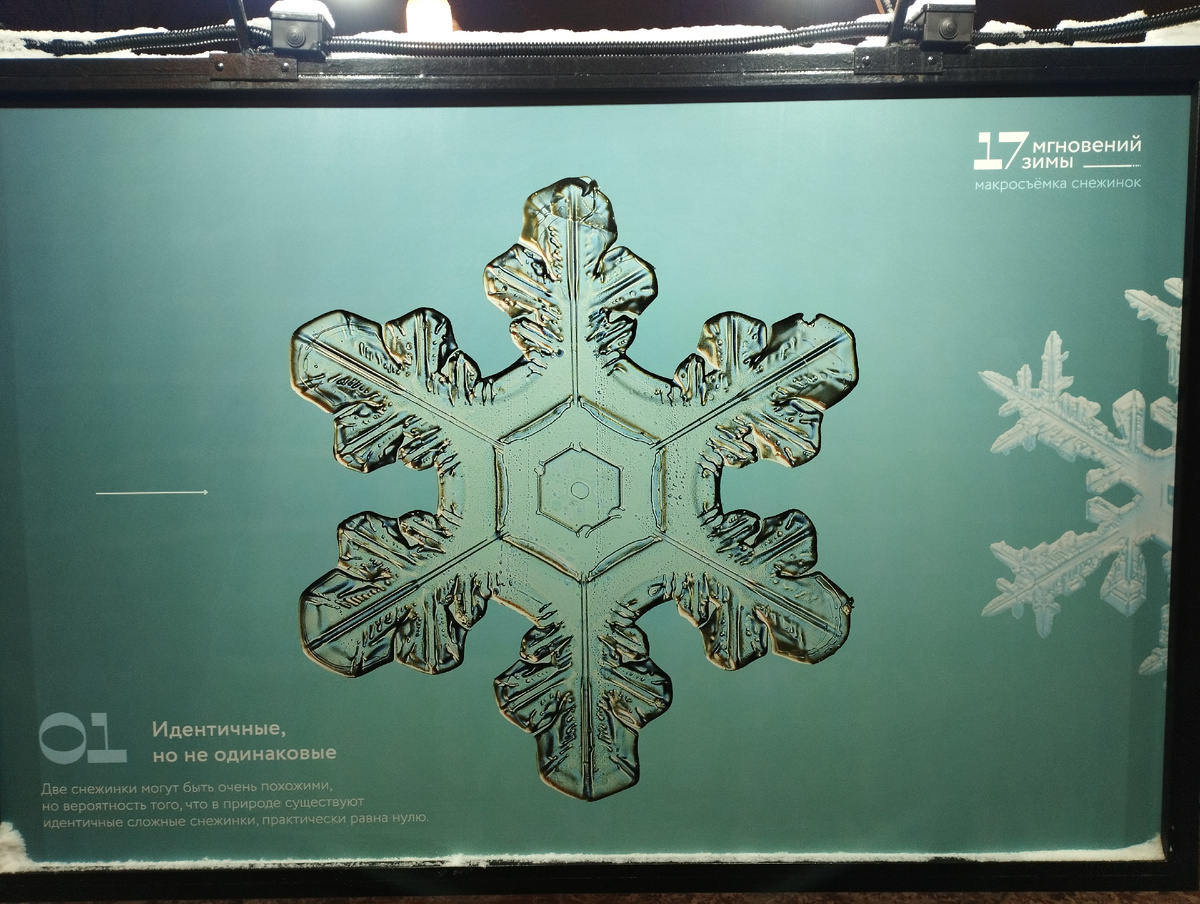 Фотовыставка "17 мгновений зимы" (ФОТО АВТОРА)