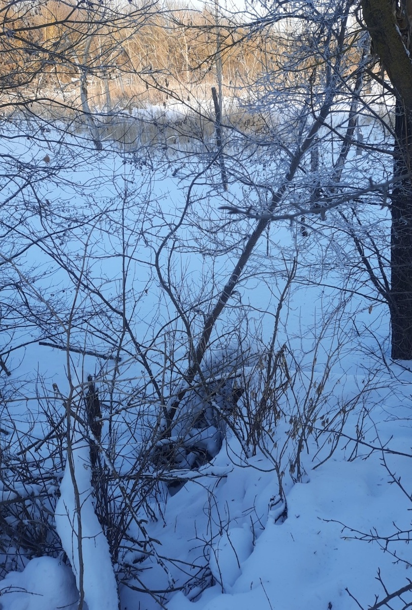 Даже водопад обледенел. Фото автора 