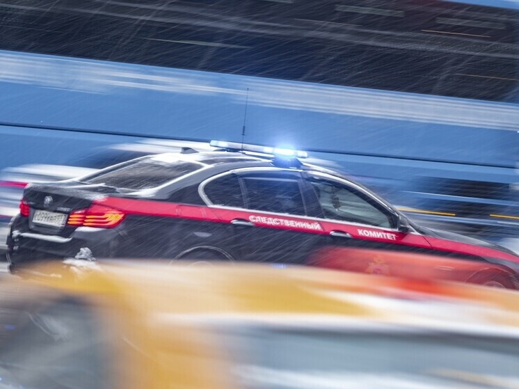     Фото: Konstantin Kokoshkin/Global Look Press