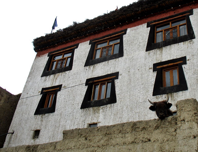 из доступных источников