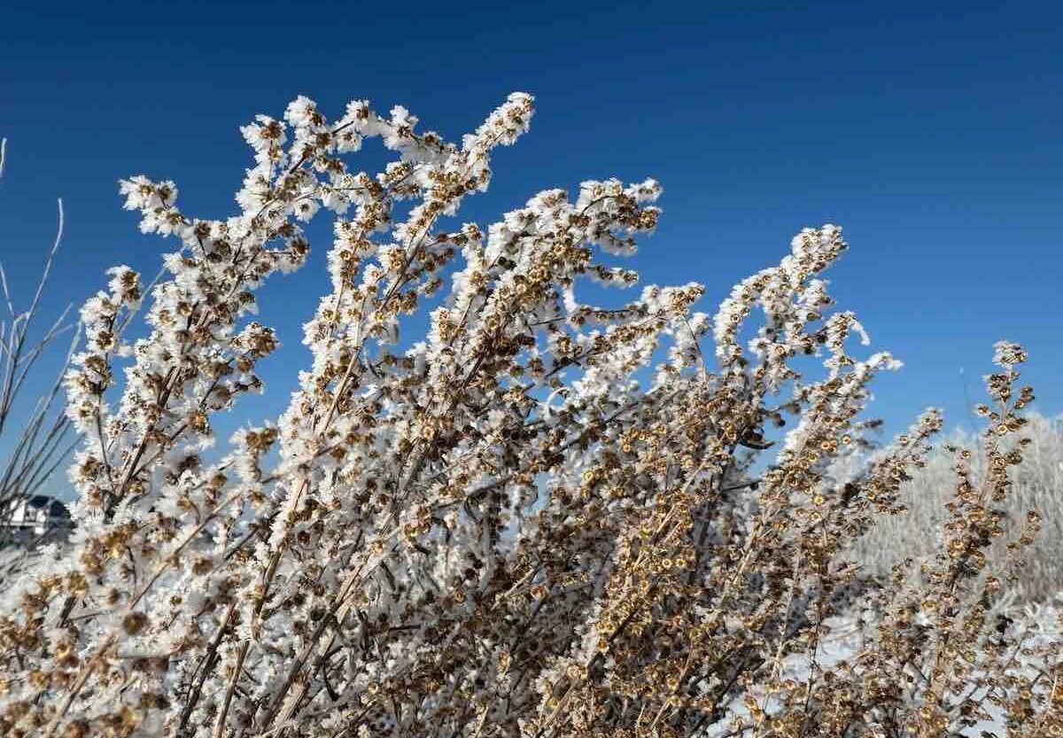 Фото: UfaTime.ru