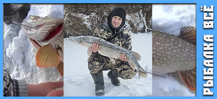 Февральские гиганты: Как и на что ловить трофейную щуку в конце зимы
