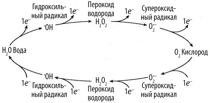 Взаимные превращения воды и кислорода с изменением числа электронов (e-).