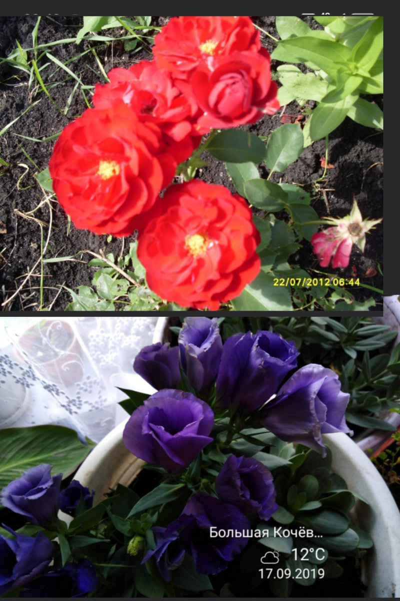 Фото автора.