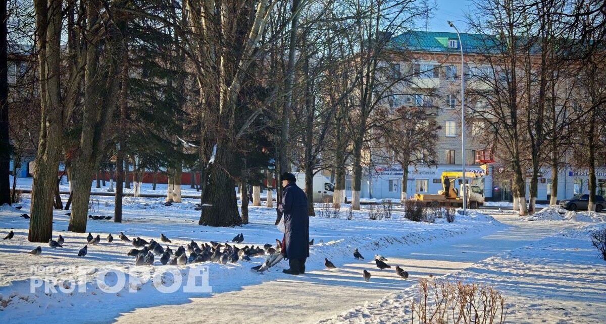    Из архива "Про Город"