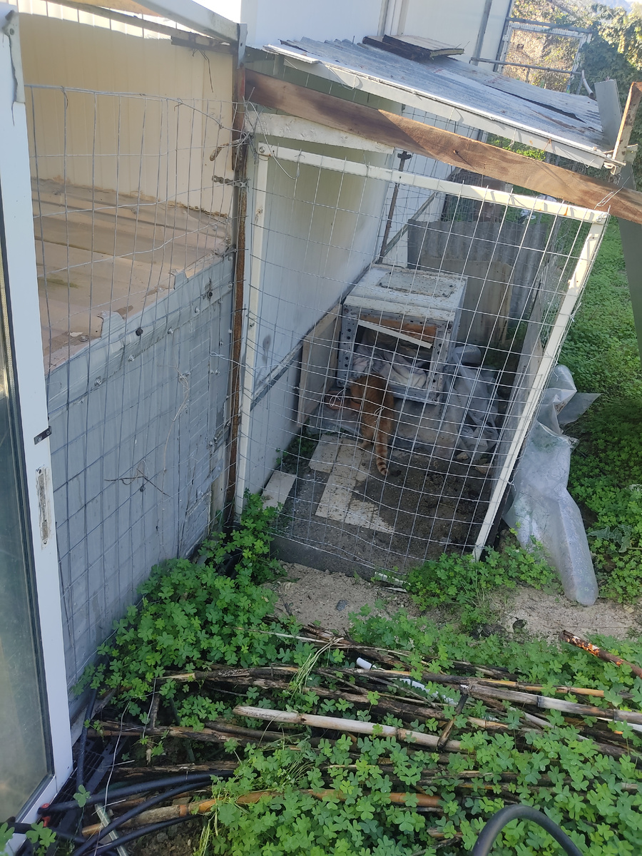 Маленький замкнутый мир.