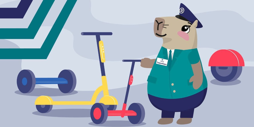 Правила провоза самоката в поезде