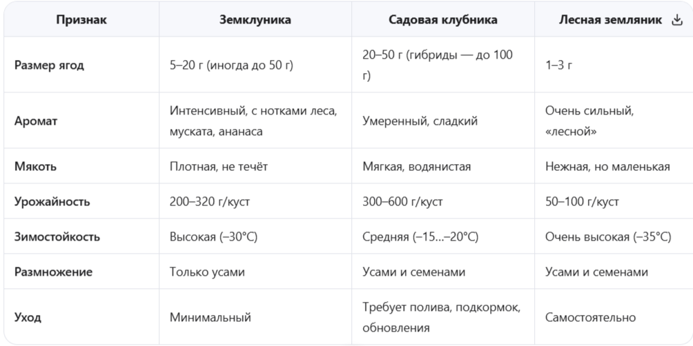 Чем земклуника отличается от клубники и земляники