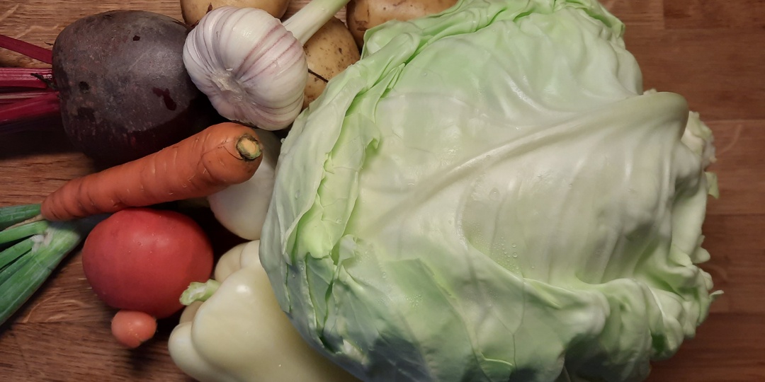 Какие огородные растения любят полив, а какие нет? Запомнить просто