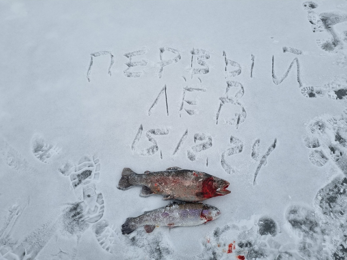 На первом льду всегда стоит проявлять особенную осторожность