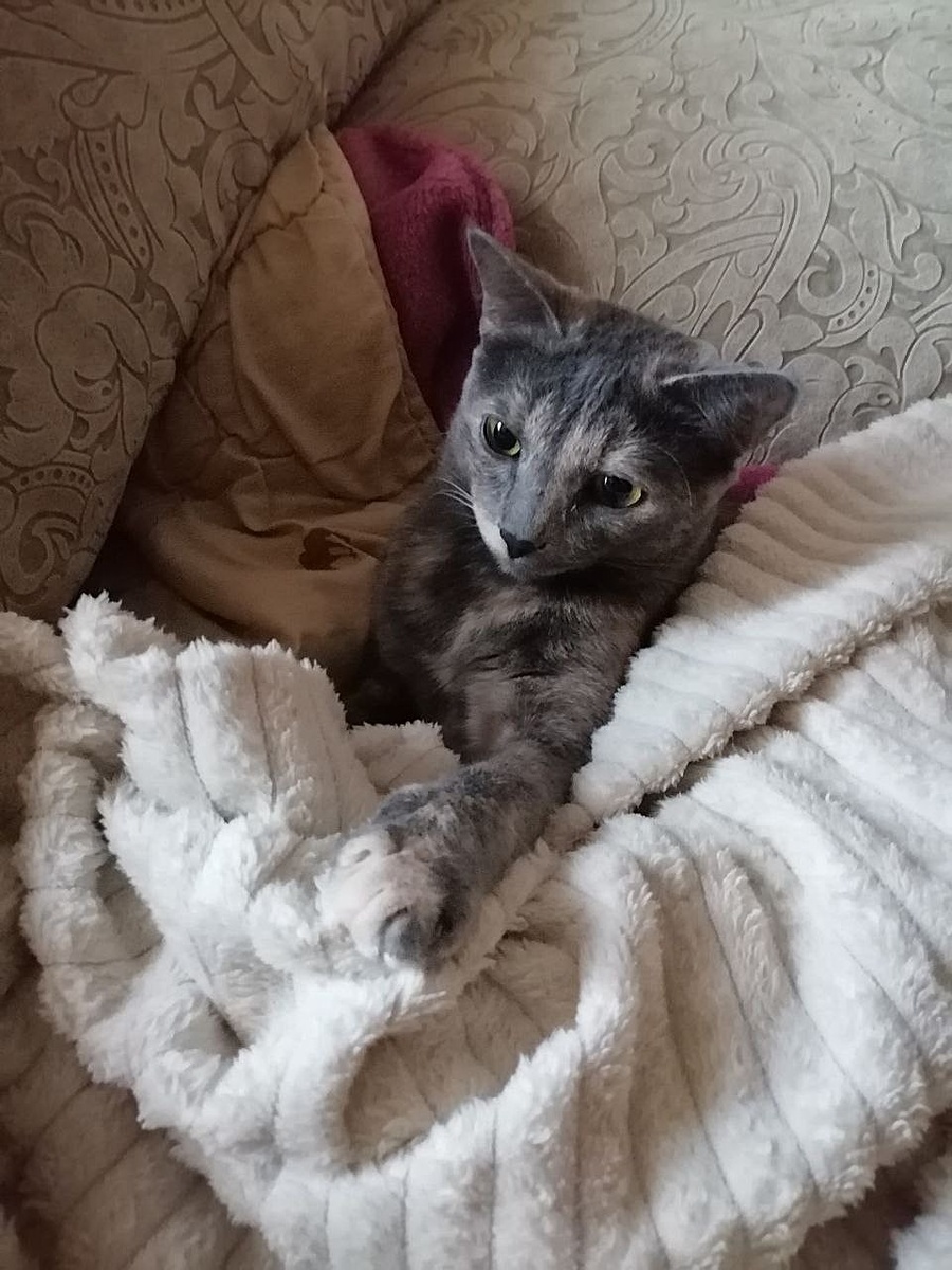 фото автора 