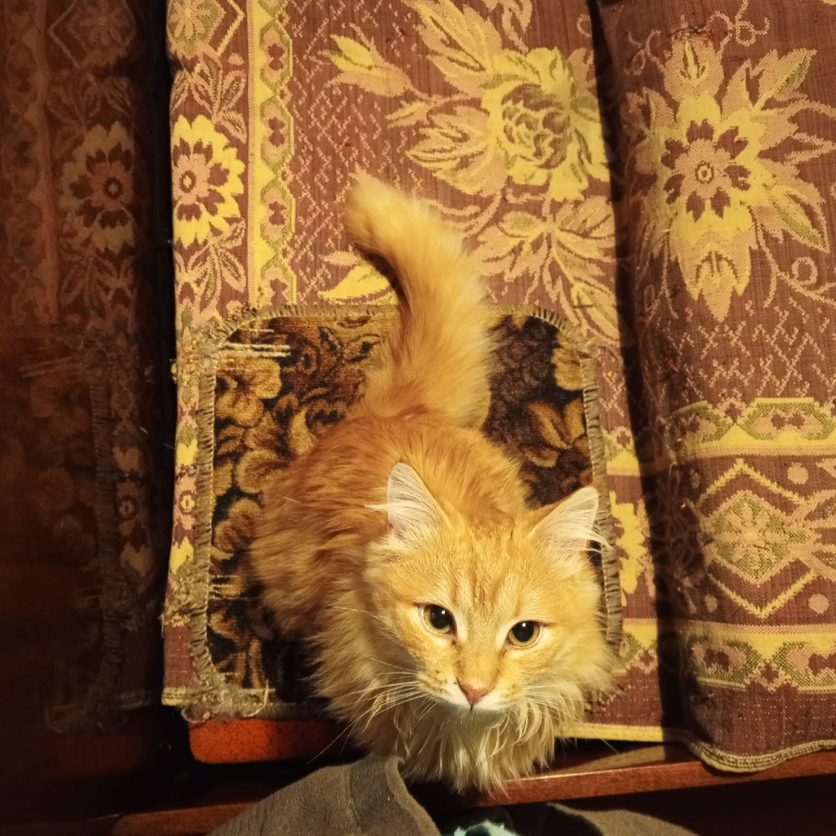 Как грипп? Ничего не знаю! Срочно лечу мамочку! 