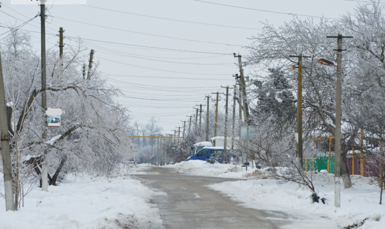 Фото автора. 25.01. 2026. Станица после ледяного дождя.