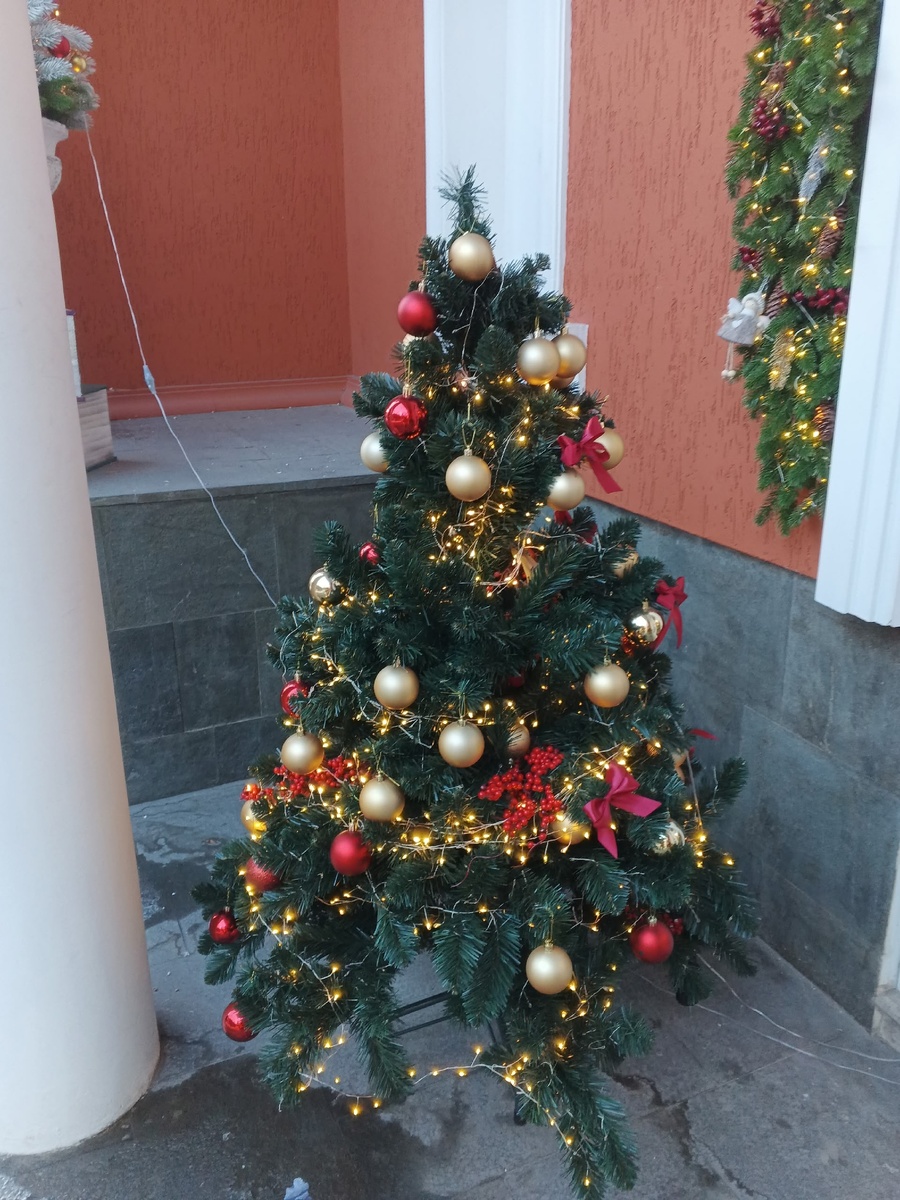 Очаровательная ёлочка. Фото Галины Малышевой.

