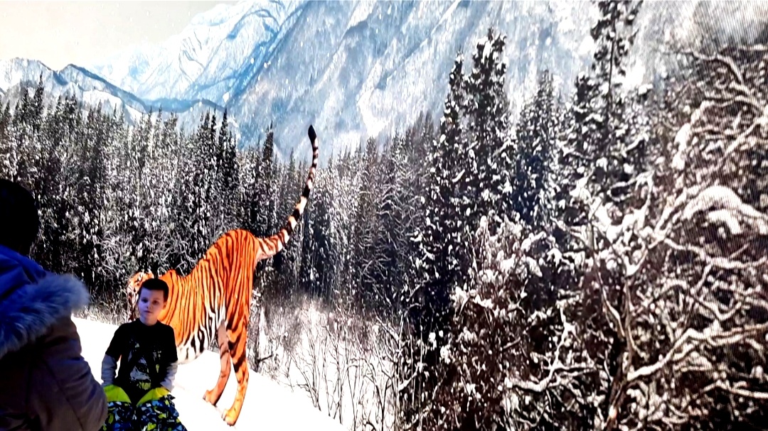 ВИДЕО ПРОГУЛКИ ВК ЗДЕСЬ: https://vk.ru/wall-223831701_957