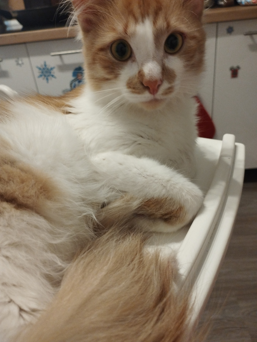 Тишу тоже, будто солнышко поцеловало :)