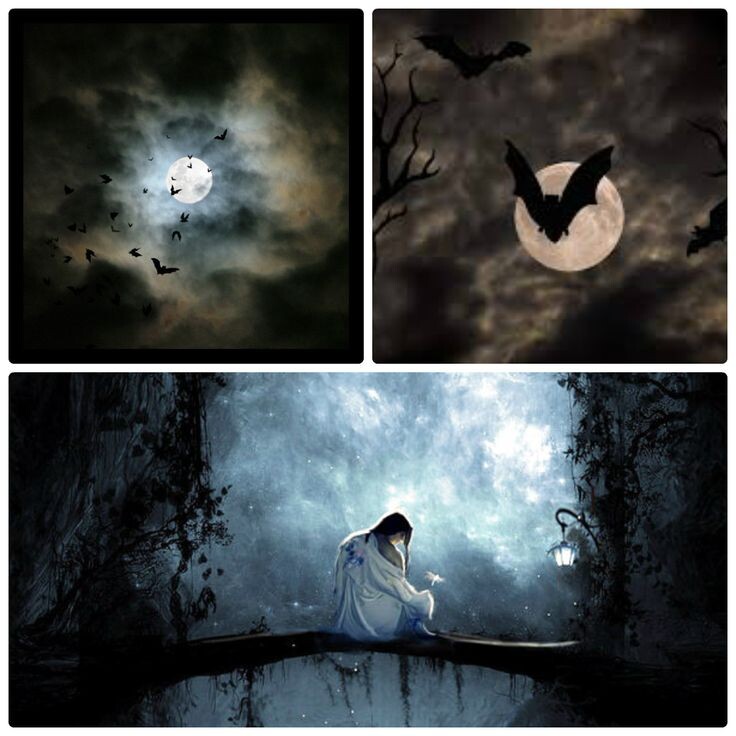 символ 9-х суток - летучая мышь, нетопырь