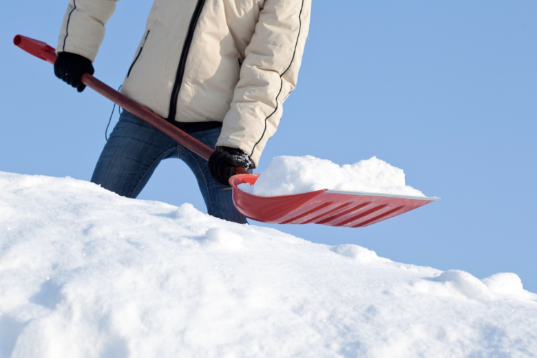    Shutterstock/FOTODOM