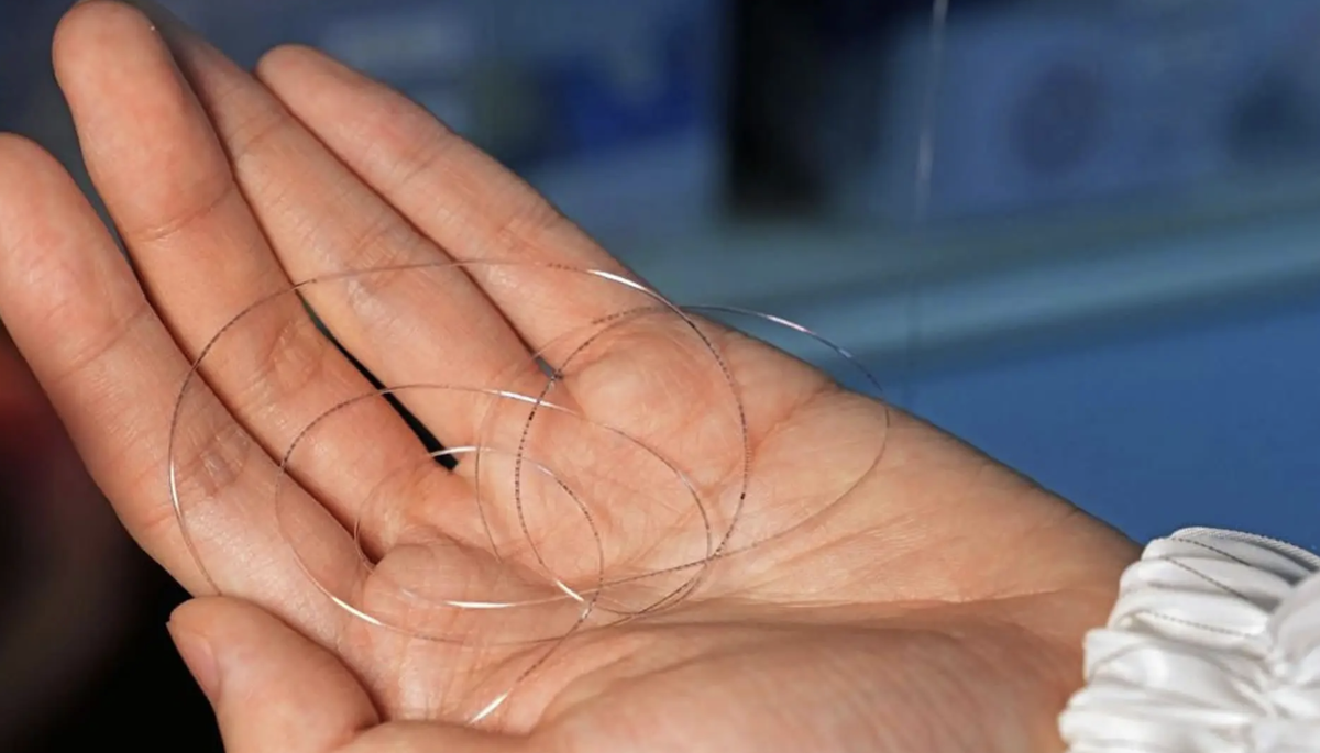 Новый чип. Фото SCMP