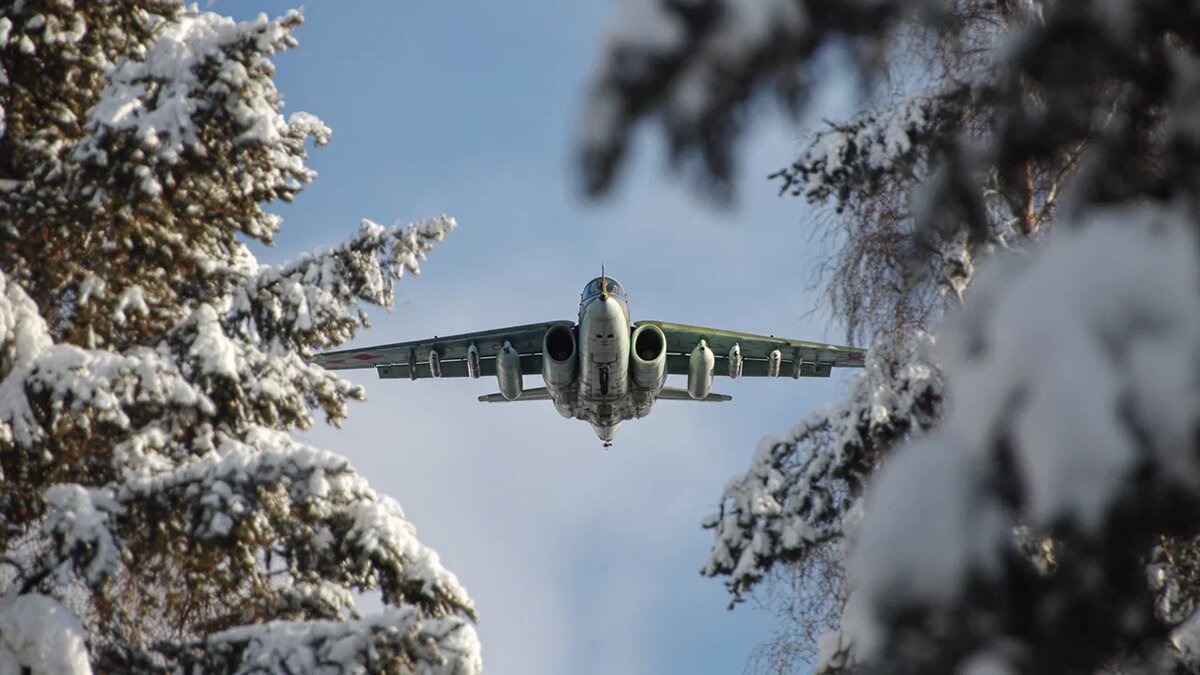 Коллаж Novorosinform