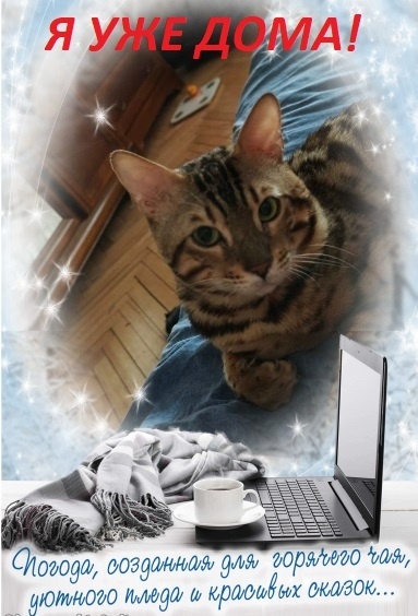 Друзья, не забыыайте, что важней всего - котик в доме)💕🏡 Всё остальное суета! 💯