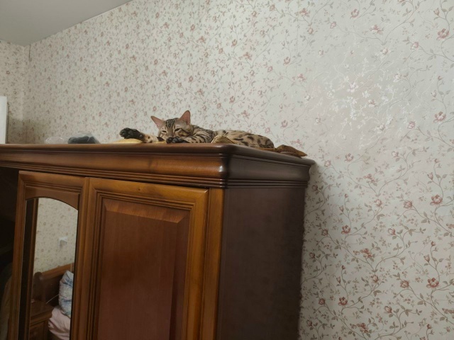 А сверху ещё больше вижу😻