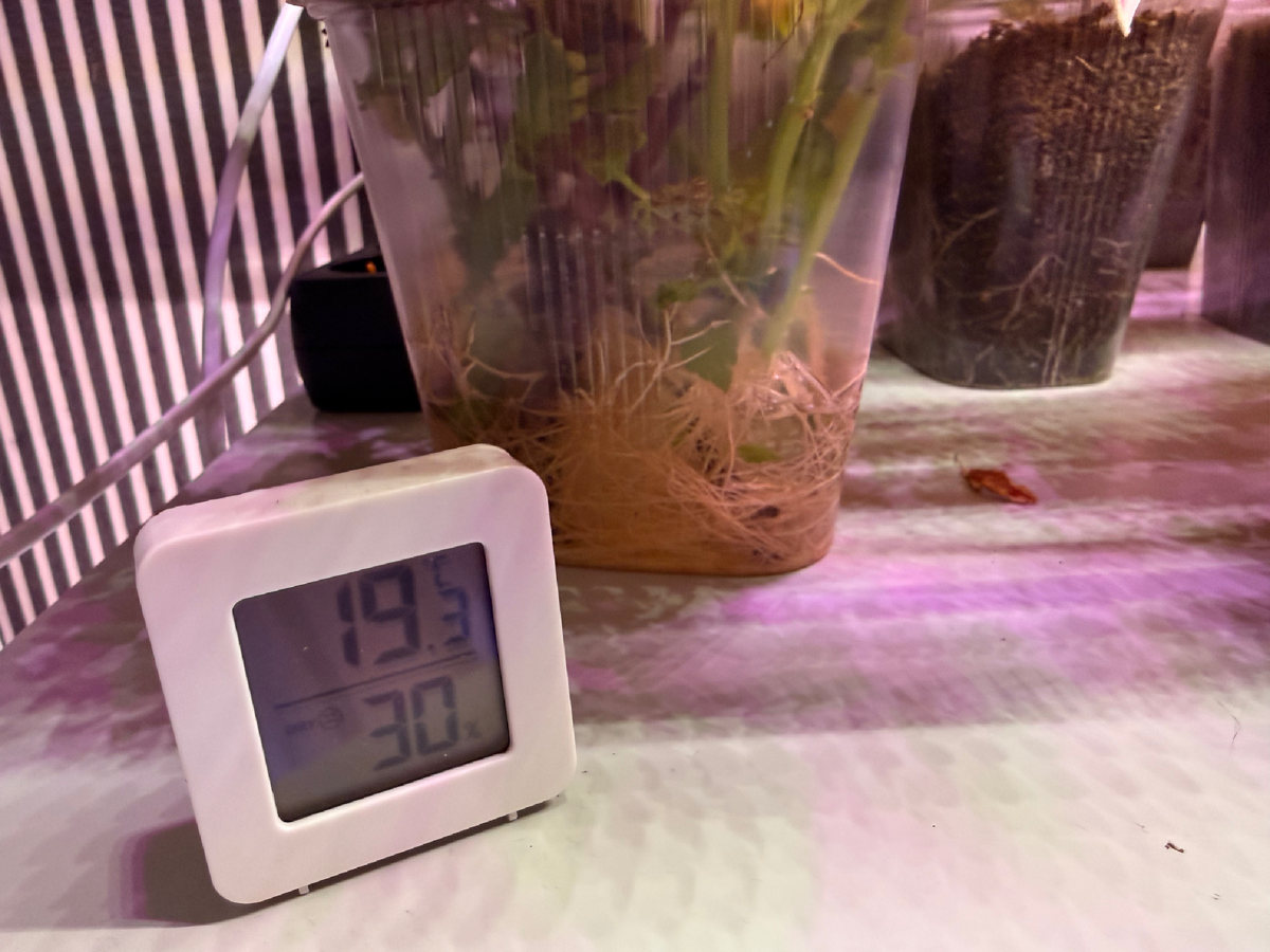 Температура и влажность воздуха в доме, январь 2026