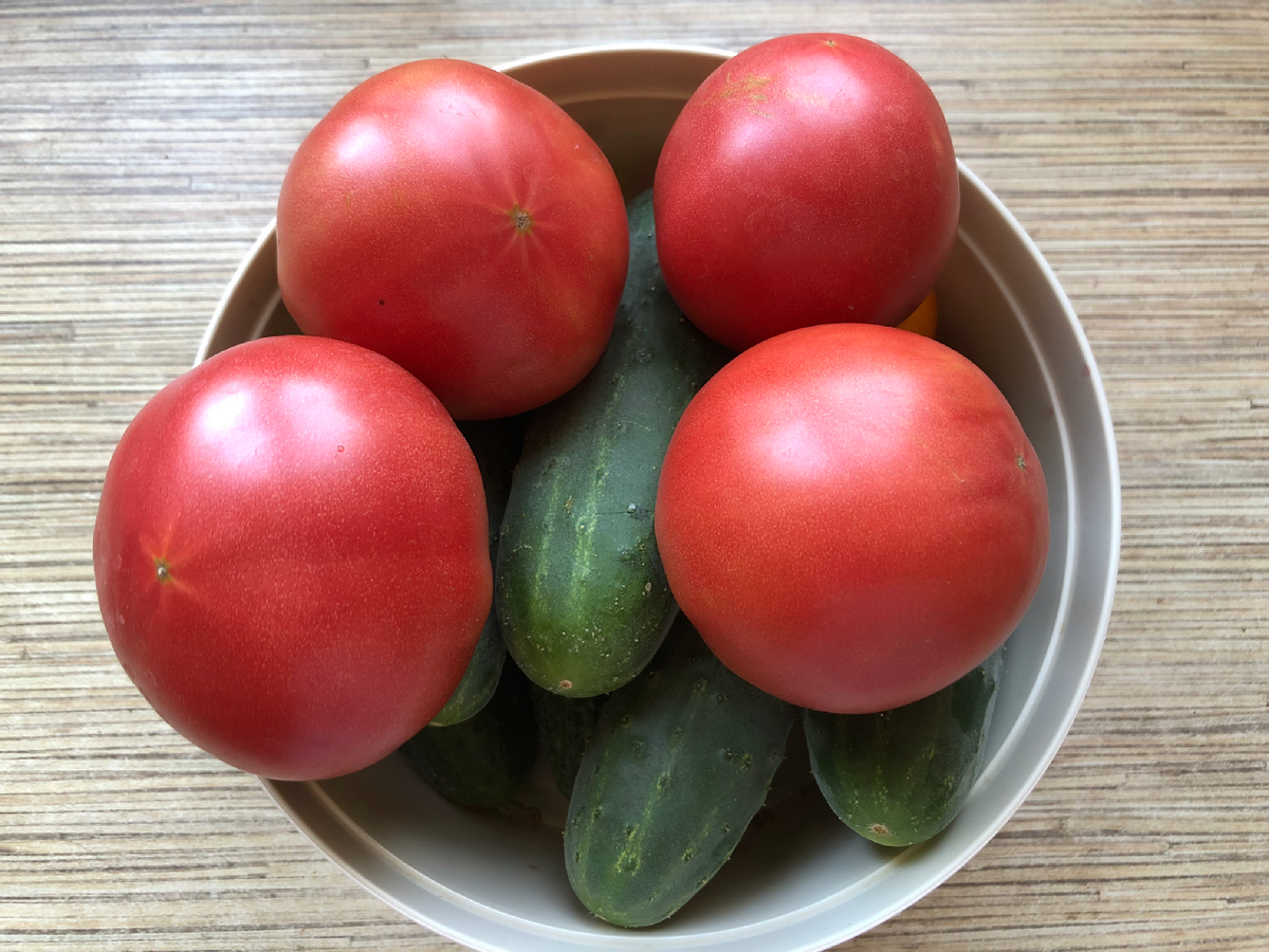 Томат Кукла, 2025