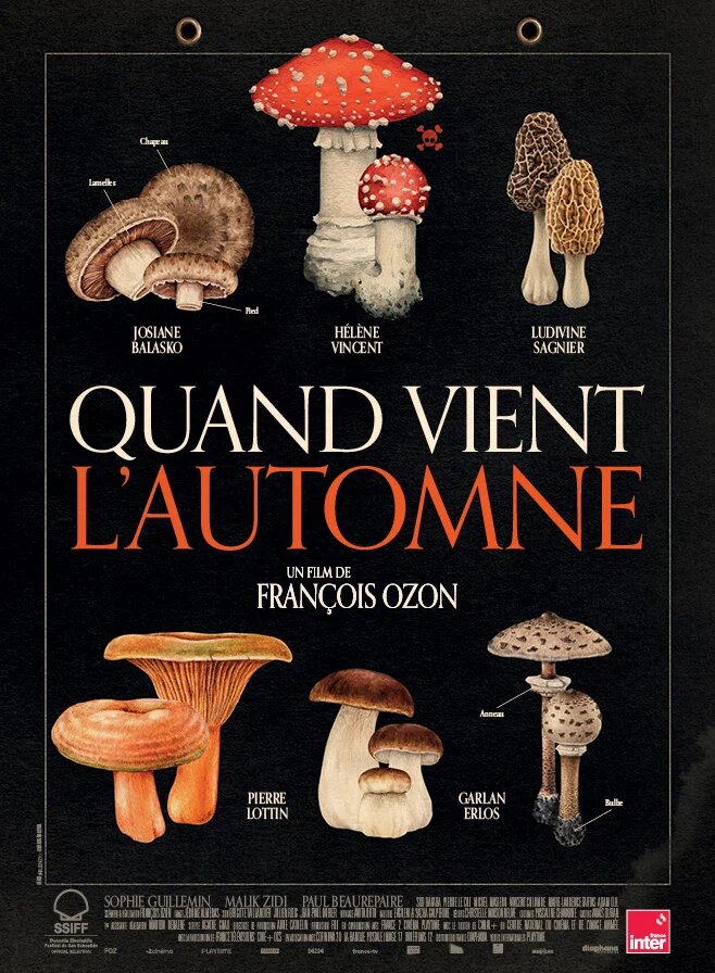 Что случилось осенью.