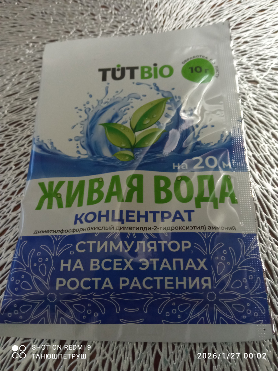 Фото автора.